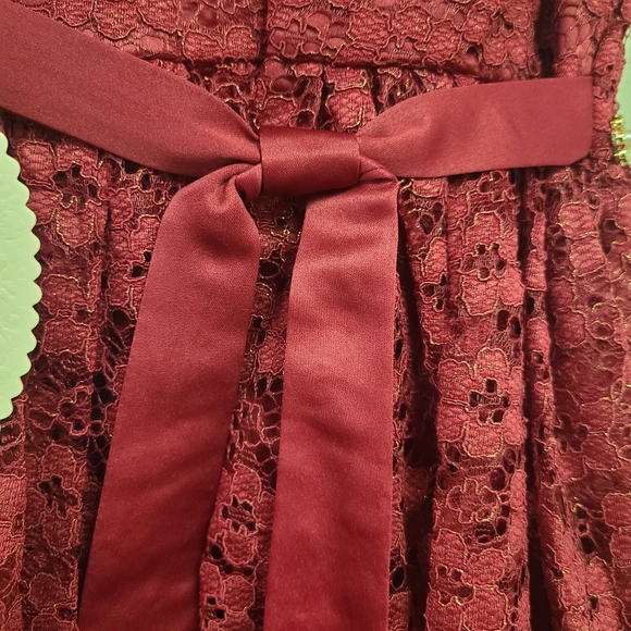 🆕️American Princess Lace Dress - Picture 3 of 13